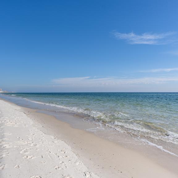 Gulf Shores And Orange Beach Alabama 2023 Tourism Information 6911